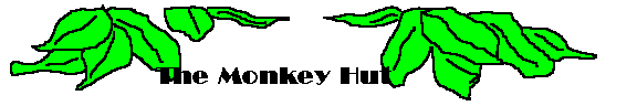 The Monkey Hut