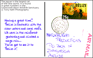Postcard Graphic